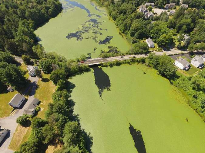 feature-image-blog-multispectural-mapping-aquatic-invasive-species-framingham-ma-nearview